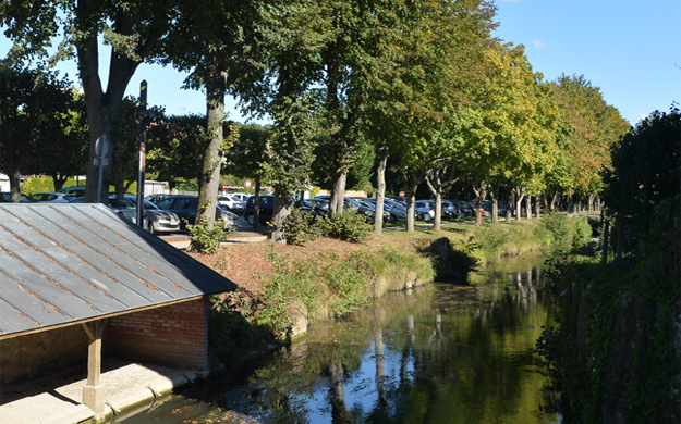 CONCOURS DES MAISONS FLEURIES