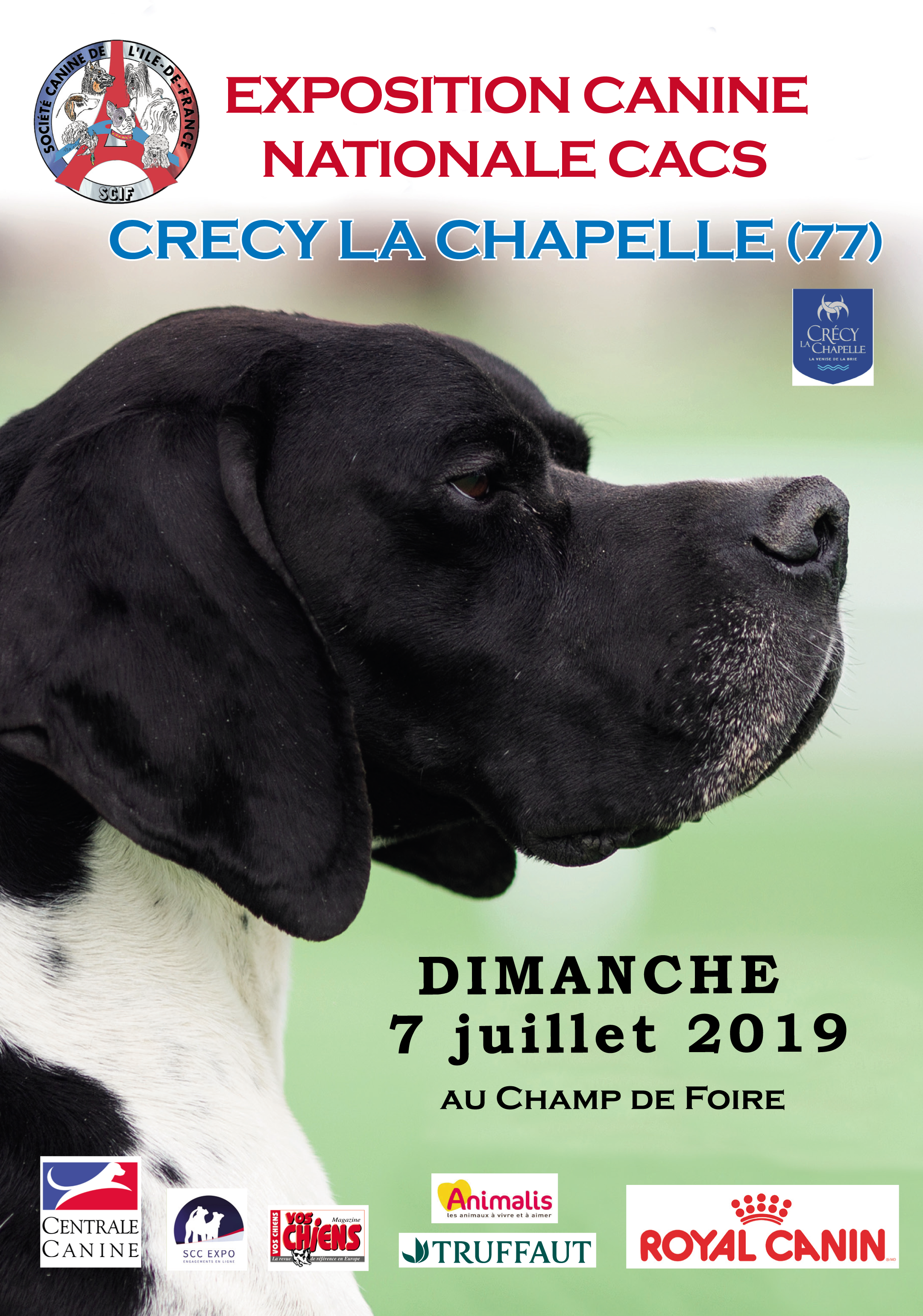 Exposition canine nationale  Site de la Ville de Crécy-la-Chapelle