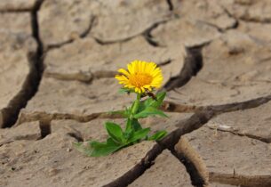 RECONNAISSANCE DE L’ÉTAT DE CATASTROPHE NATURELLE