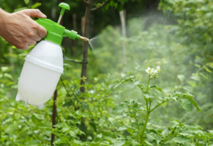 CRECY LA CHAPELLE SOUTIENT LA SEMAINE SANS PESTICIDES DU 20 AU 30 MARS.