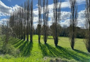 GESTION DIFFERENCIEE A CRECY-LA-CHAPELLE