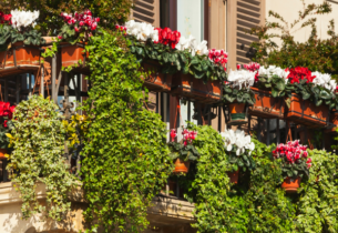 Des espaces verts à chaque fenêtre