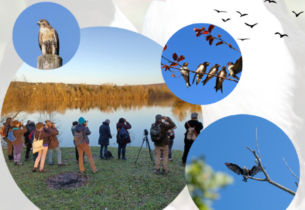 Participez au Rencontres Ornithologiques de Printemps à Crécy-la-Chapelle ! Mission bénévolat