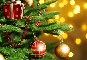 COLLECTE DES SAPINS DE NOËL